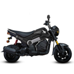 Honda Navi