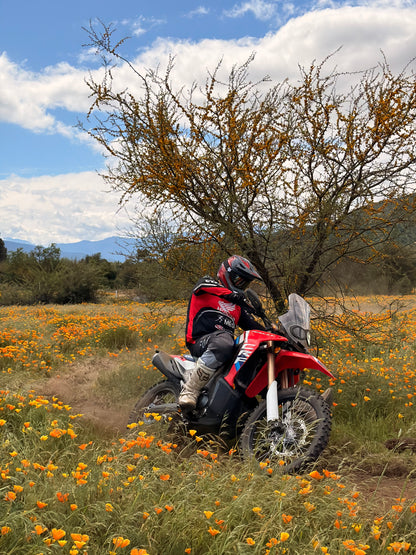 Entrenamiento guiado - OFF ROAD en pista