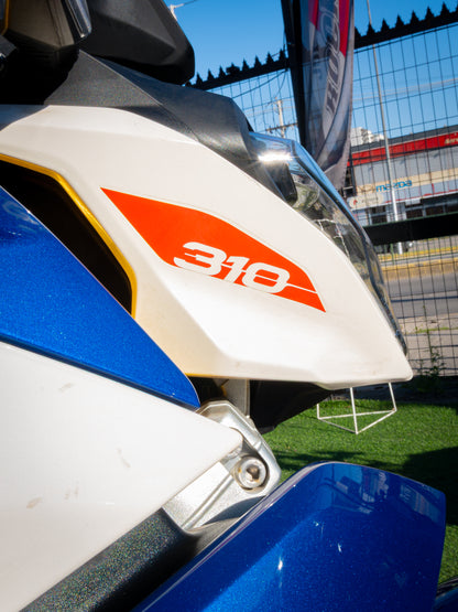 BMW G310 R  tricolor