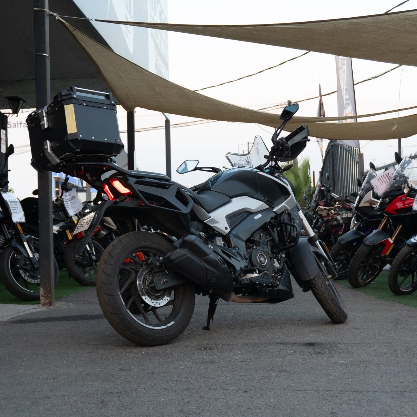 Dominar 250